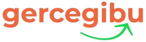 gercegibu.com