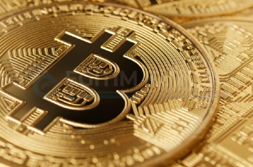 Kripto Para Nedir?